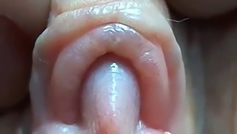 Girl Pleasuring Herself Up Close