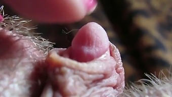 Intense Close-Up Of My Large Clitoris Head Throbbing During Masturbation