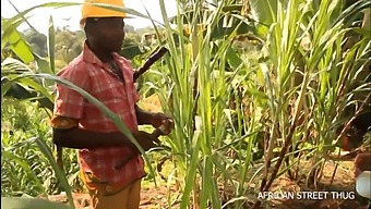 Experience A Unique Rendezvous In The Countryside: An Unfaithful Woman And Her Neighbor'S Intimate Encounter In The Open Field, Leading To A Daring Public Display Of Passion On An African Street